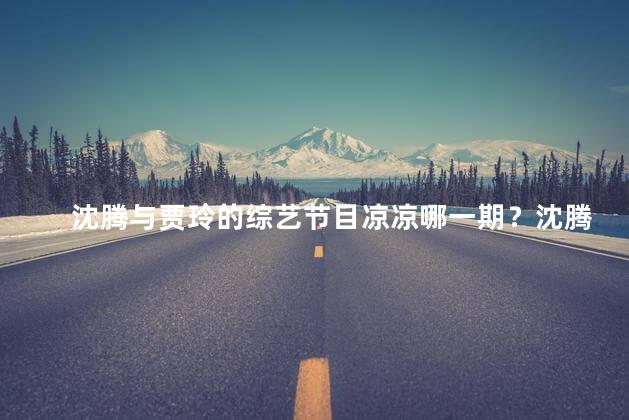 沈腾与贾玲的综艺节目凉凉哪一期？沈腾贾玲综艺节目凉凉哪一期 轻松欢笑的精彩一刻